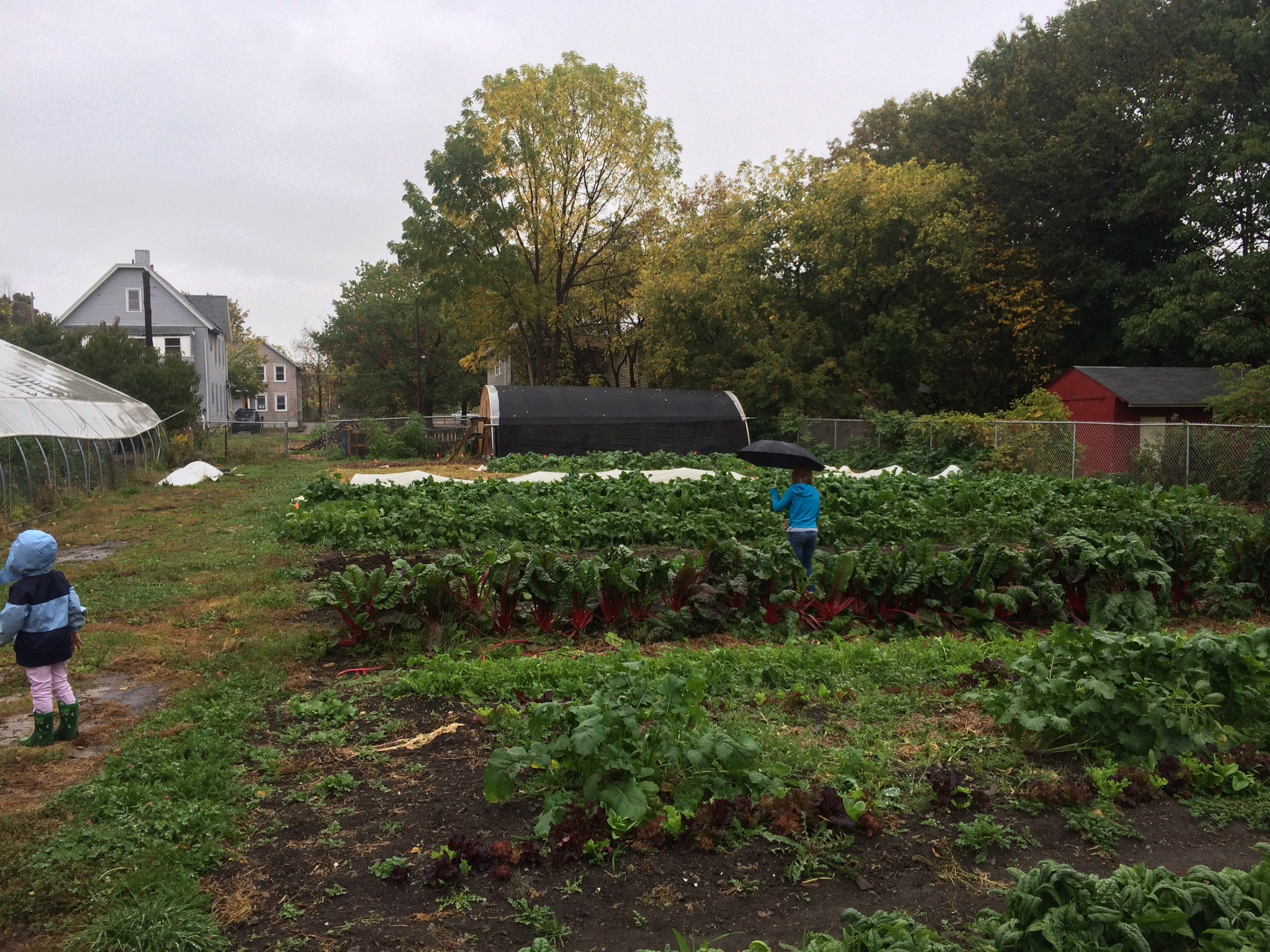 2014_COE_Field_Trip_to_Binghamton_Urban_Farm_crops